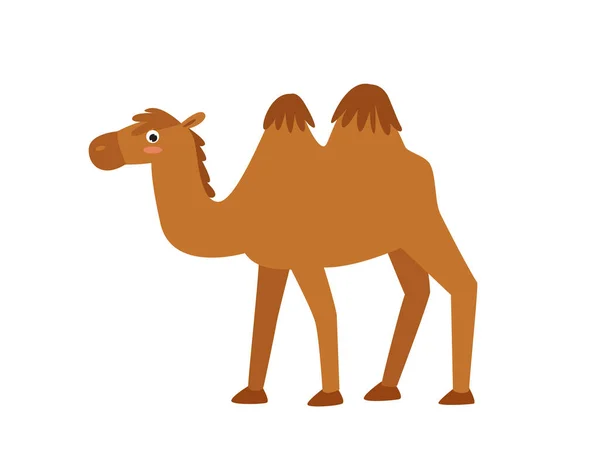 Печать Карикатурный Верблюд Векторный Милый Верблюд Африканское Животное Персонаж Мультфильма — стоковый вектор