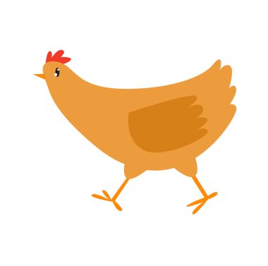 Yazdır. Vektör tavuk. Çiftlik kuşu. Tatlı çizgi film tavuğu. Basit bir tavuk çizimi..