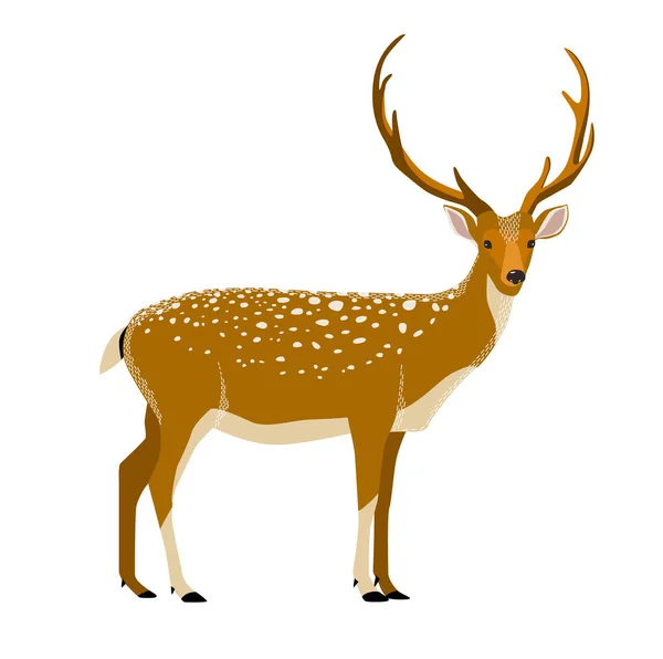 Imprimir Veado Vetor Ilustração Minimalista Emblema Ícone Animal Floresta Veado — Vetor de Stock