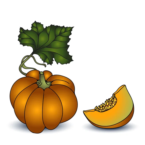 Autumn pumpkin on white background — Stock Vector