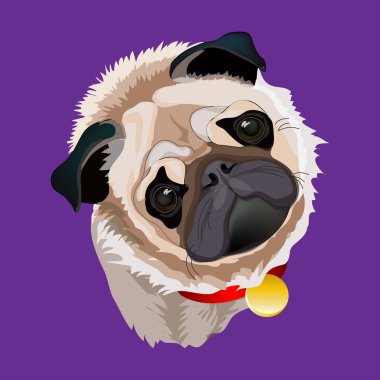 Bir pug portresi