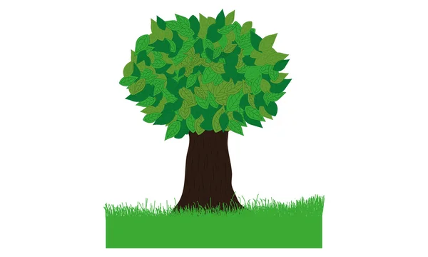 Green tree — Stock Photo, Image