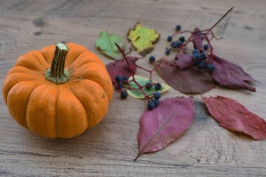 Cadılar bayramı için renkli sonbahar yaprakları ve sarı balkabağı arkaplanı