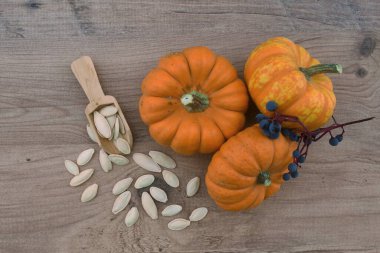 Cadılar bayramı için sarı kabak arkaplanı