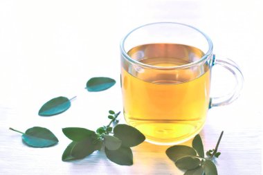 Masada bir bardak adaçayı