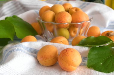 Apricot fruit background in a bowl on wooden table