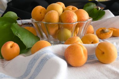 Apricot fruit background in a bowl on wooden table