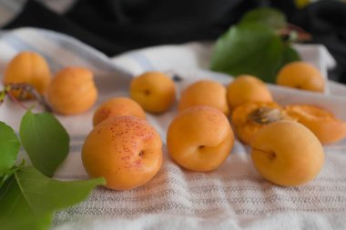 Apricot fruit background on wooden table