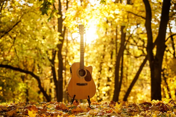 Gitara Akustyczna Jesiennym Tle — Zdjęcie stockowe