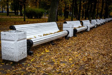 Sonbahar parkındaki sıralı banklar..