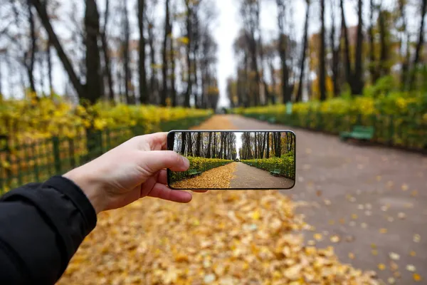 Güz parkında çerçevesiz akıllı telefondan fotoğraf çekmek.