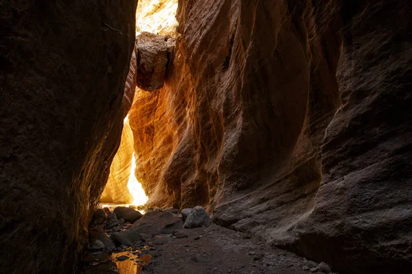 アバカス峡谷 自然景観 キプロス パフォス地区の人気のある渓谷 観光名所の眺め — ストック写真