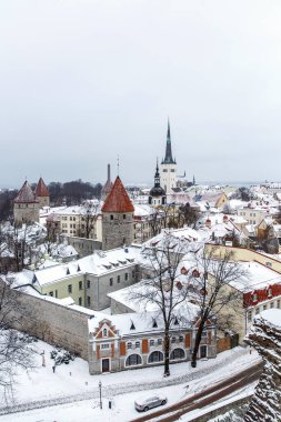 Avrupa şehrinin eski bir kasabası. Tallinn Estonya 'nın başkentidir.
