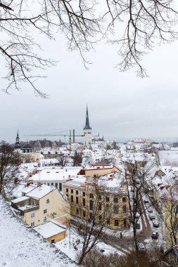 Avrupa şehrinin eski bir kasabası. Tallinn Estonya 'nın başkentidir.