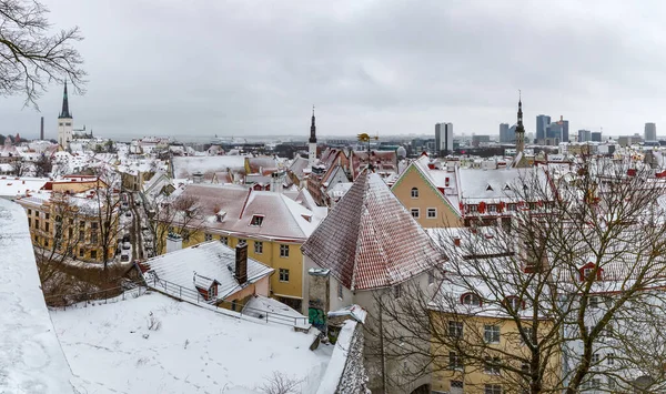 Старый Город Европейского Города Таллинн Столица Эстонии — стоковое фото