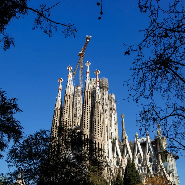 Барселона Іспанія Січня 2022 Будівництво Sagrada Familia Барселоні Кран Над — стокове фото