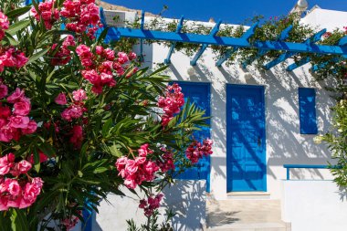 Yunanistan 'ın Santorini adasında mavi kapısı ve çiçek açan begonvil bitkisi olan tipik Yunan evi