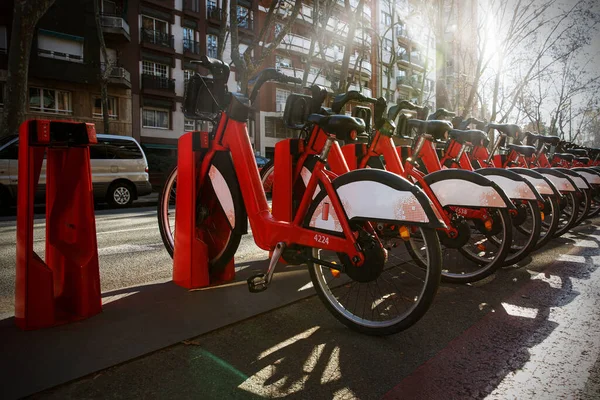 Bisiklet kiralama istasyonu. Kasabada bir sürü bisiklet var.