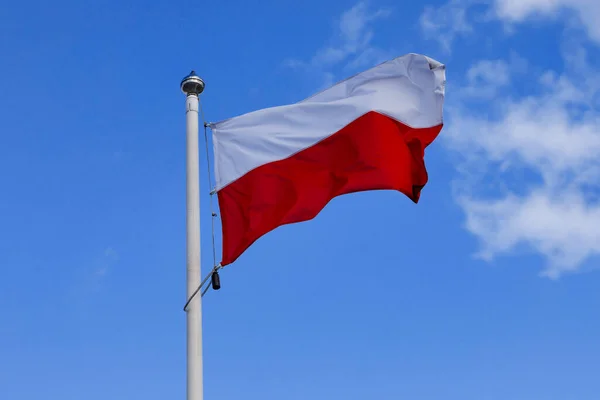 Flaga Polski Tle Błękitnego Nieba — Zdjęcie stockowe