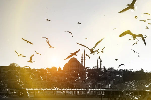 İstanbul minareleri ve camilerin üzerinde bir sürü martı uçuyor.