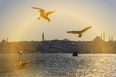 Kuşlar boğazın üzerinden uçar.