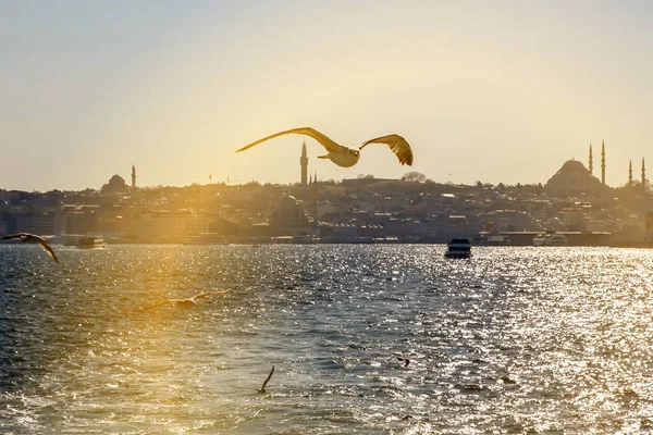 Kuşlar boğazın üzerinden uçar.