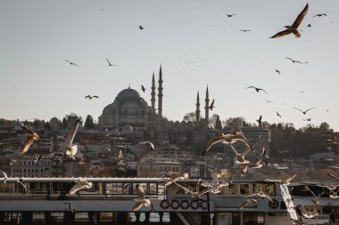 Günbatımında İstanbul silueti ve martıları, Süleyman Camii, Türkiye