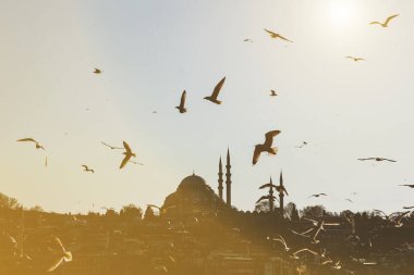 Günbatımında İstanbul silueti ve martıları, Süleyman Camii, Türkiye