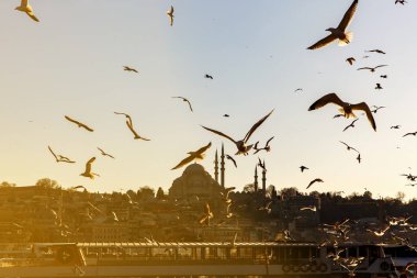 Günbatımında İstanbul silueti ve martıları, Süleyman Camii, Türkiye