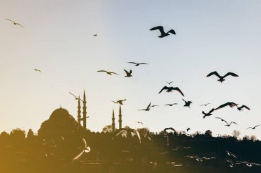 Günbatımında İstanbul silueti ve martıları, Süleyman Camii, Türkiye