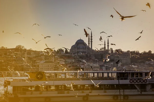 Silueta Estambul Gaviotas Atardecer Mezquita Suleymaniye Turquía — Foto de Stock
