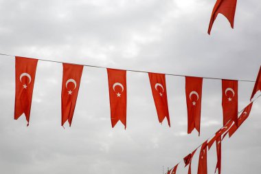 Arkaplanda Türkiye 'nin bayraklarını sallayan bir sıra
