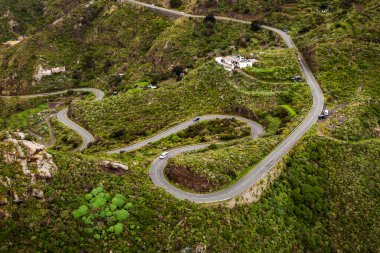 Yeşil dağ parkında dolambaçlı yol.