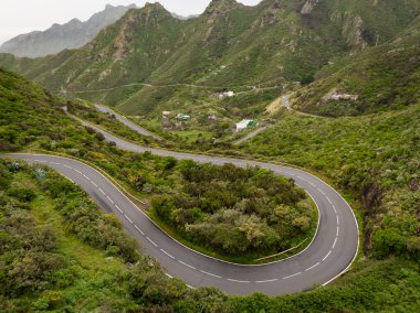Yeşil dağ parkında dolambaçlı yol.