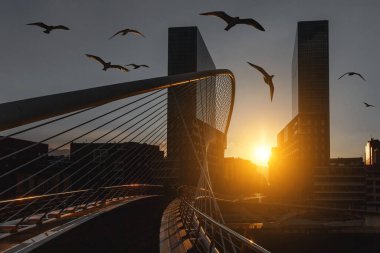 Zubizuri köprü ve Isozaki Towers adlı günbatımı, Bilbao, İspanya