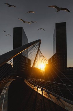 Zubizuri köprü ve Isozaki Towers adlı günbatımı, Bilbao, İspanya