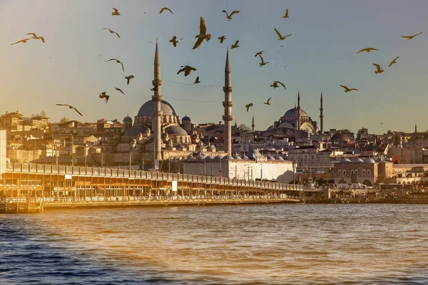 Istanbul Paysage Avec Ponts Ferries Mosquées Oiseaux Dans Ciel Couchant — Photo