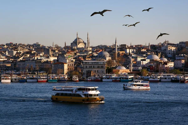 Paisaje Estambul Con Puentes Transbordadores Mezquitas Aves Cielo Atardecer — Foto de Stock