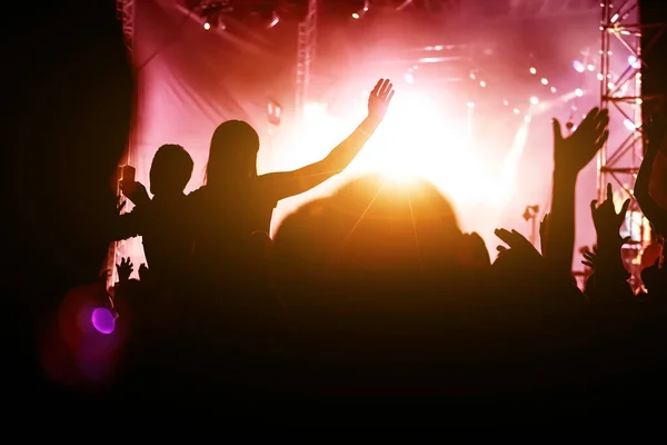 Bir Konser Etkinliğinde Ellerini Kaldıran Erkek Kadınlar — Stok fotoğraf