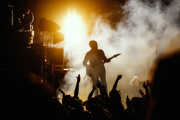 Silhouette Guitar Player Guitarist Perform Concert Stage Dark Background Smoke Royalty Free Stock Photos