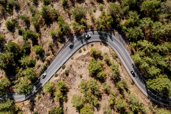 An overhead view of a winding road through a pine forest