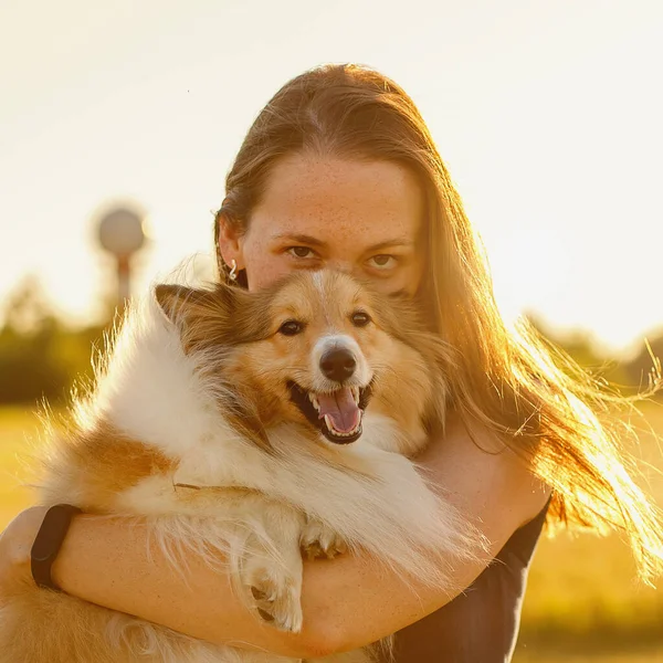 Woman Her Dog Golden Sunset Hugging Fluffy Sheltie — Stockfoto