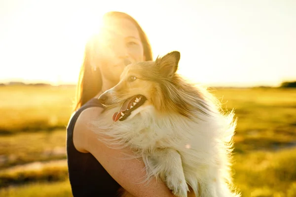 Woman Her Dog Golden Sunset Hugging Fluffy Sheltie — Stok fotoğraf