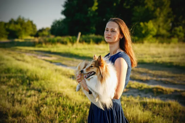 Woman Sheltie Shetland Sheepdog Walk Golden Sunset — Zdjęcie stockowe