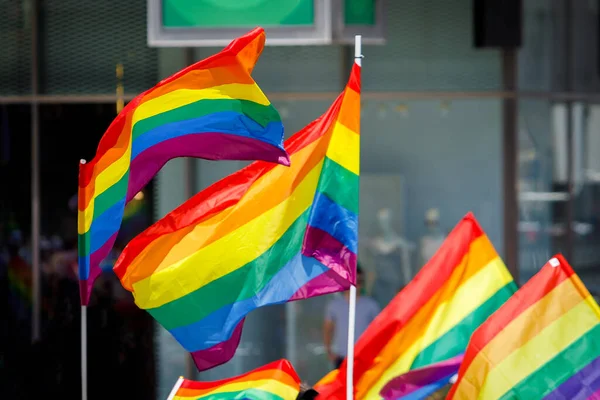 Many Waving Lgbt Gay Pride Flags Solidarity March — 스톡 사진