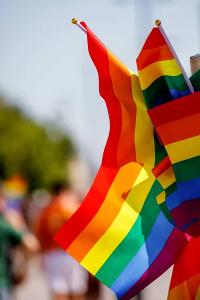 Many Waving Lgbt Gay Pride Flags Solidarity March — Stockfoto