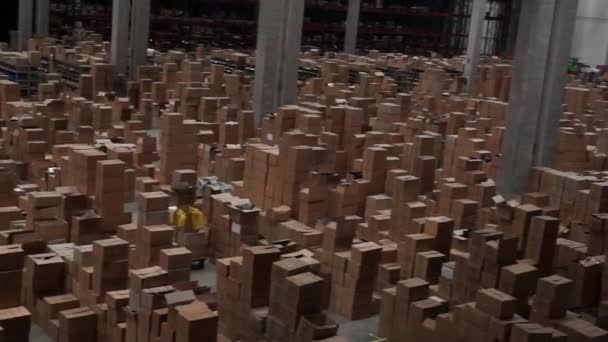 Огромное Хранилище Коробками Ангар Хранения Вещей Промышленных Предприятий — стоковое видео