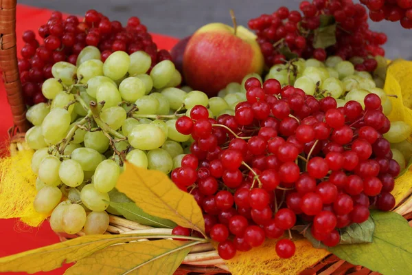 Grapes Viburnum Apples Wicker Basket Close Seasonal Fruits — Zdjęcie stockowe