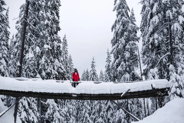 Handsome Young Man Red Jacket Suspension Bridge Winter Snowy Forest — 스톡 사진