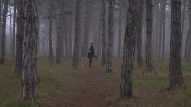 Genç adam köpeği Norveçli Lundehund ile ormanda oynuyor.